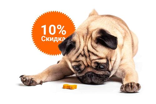 -10% на зоотовары акция в Сочи компании Инженер выгодно