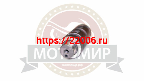 Вал червячный п/п (копирный) СВ250 в сборе с вилками (НАБОР) фото 4