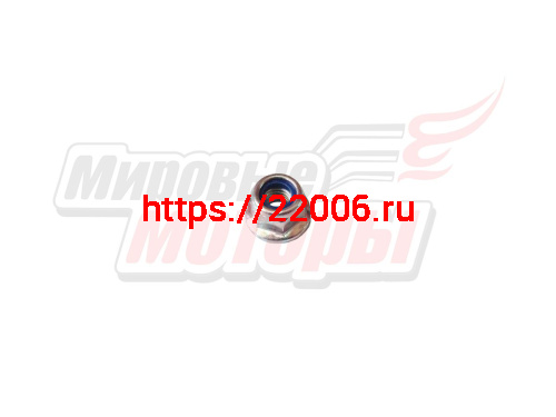 Гайка крепления рычага газа CHAMPION BC6611,6712,6612H,7712,7612Н,8713/ВС5511(801022)