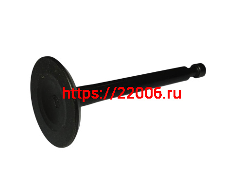 Клапан впускной 168F (GX 160) (YT-GP-002548) фото 2