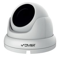 DVI-D251 SD 5Mpix  2.8mm видеокамера IP