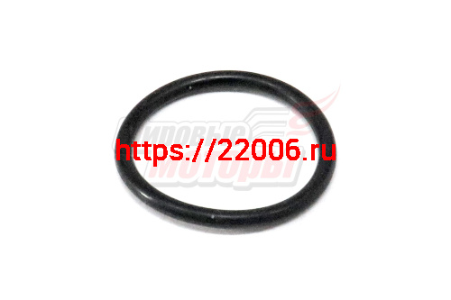 Прокладка водяного насоса Otaka (E050000301)