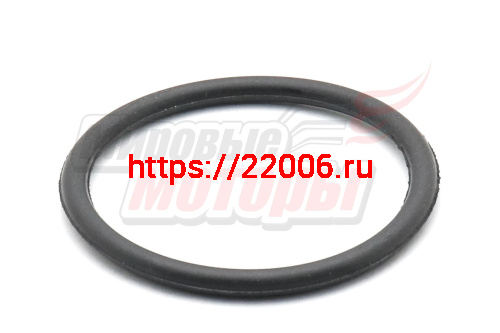 Кольцо Буран уплотнительное натяжного вала