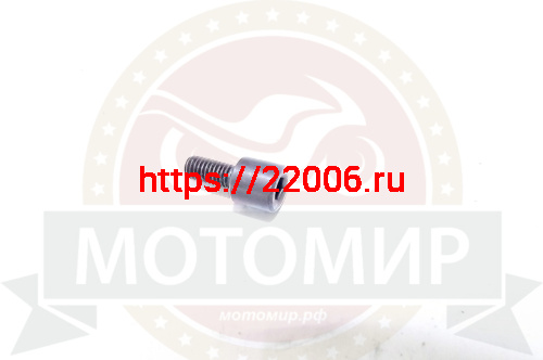 Болт ролика натяжителя цепи ГРМ №1 1Р54FMI Шторм (М6*13.5мм)