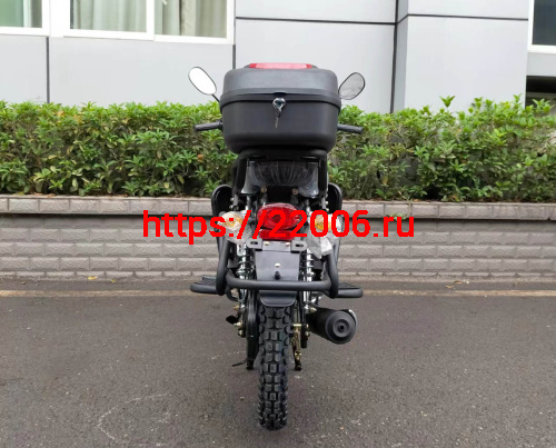 Мопед RAID (кофр в комплекте, дуги с карманами) фото 4