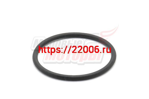 Кольцо Буран уплотнительное крышки бензобака